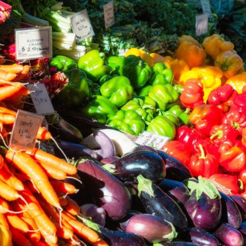 Fermented Foods and Gut Health Donderdag: 24 Julie 2025; 09h00-14h00