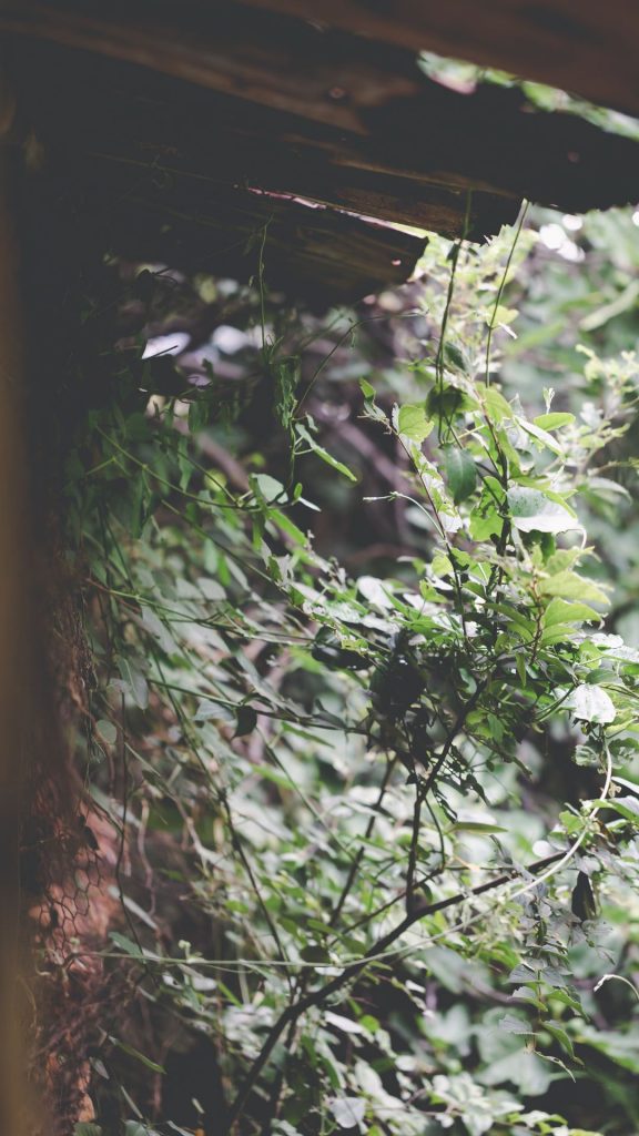 Bos-en-Berg Guest Farm