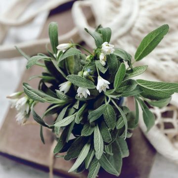 Geskenke uit jou Koskas Werkswinkel 14 Desember 2024