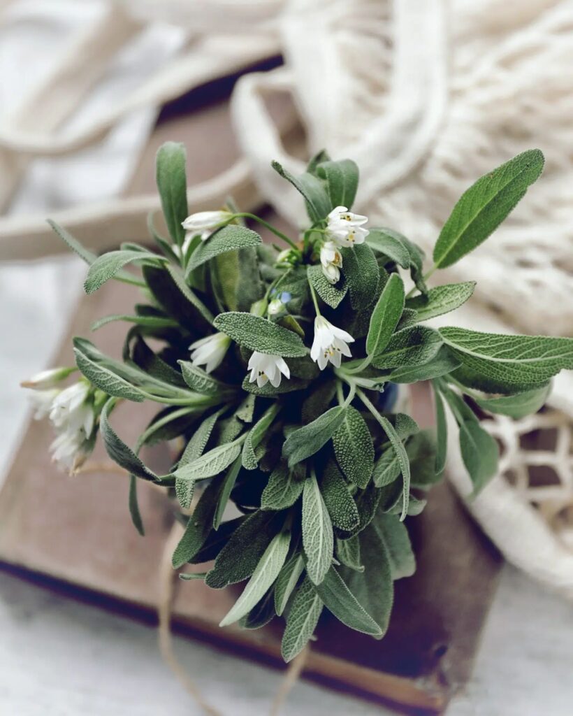 Eetbare blomme